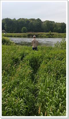 0057_20180510_152528 (Kopie).jpg